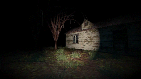 Shadow Man by Collin