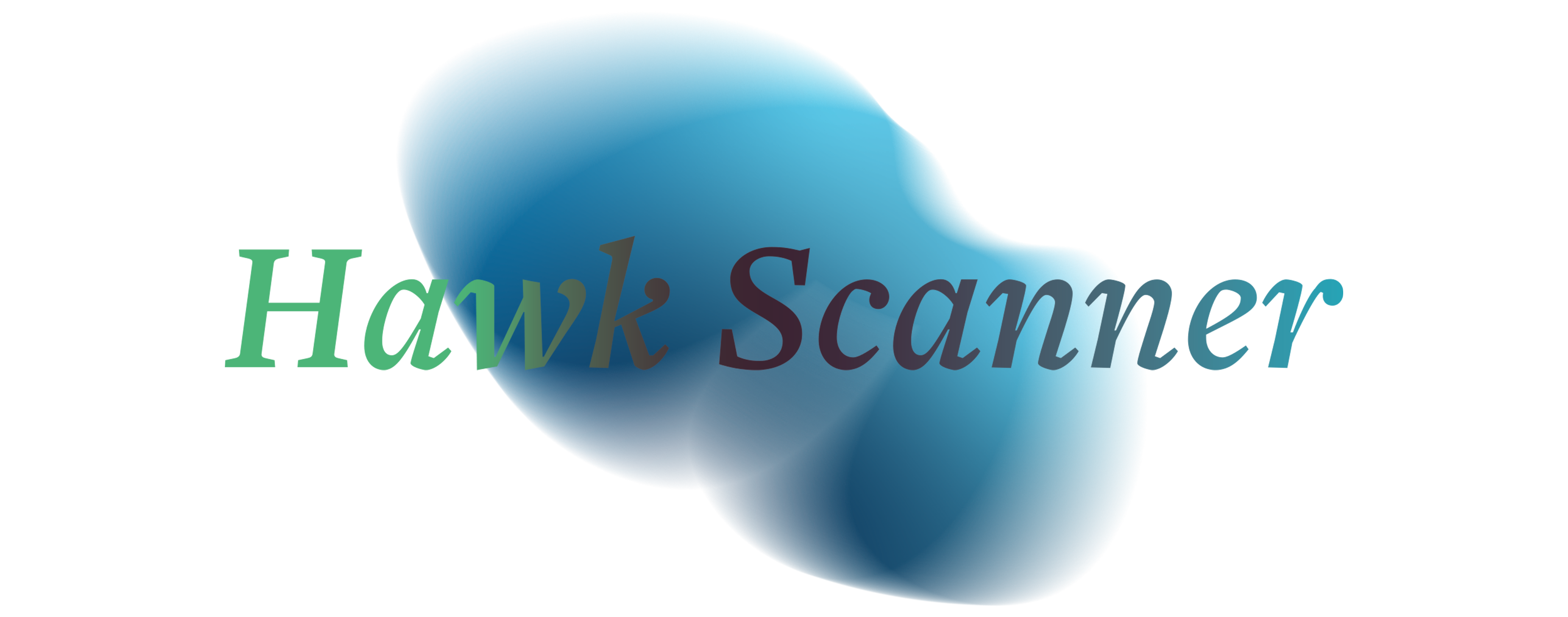 Hawk Scanner title banner